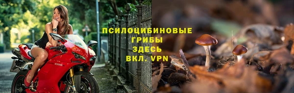 тгк Вязники
