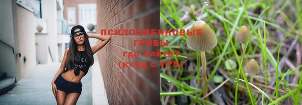 PSILOCYBIN Вязьма