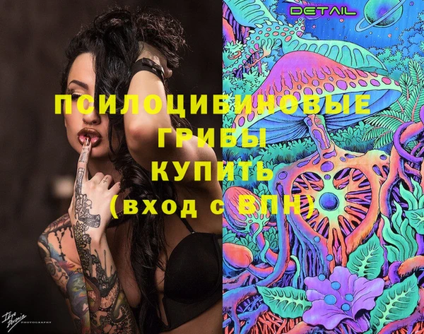 PSILOCYBIN Вязьма