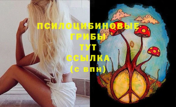 тгк Вязники