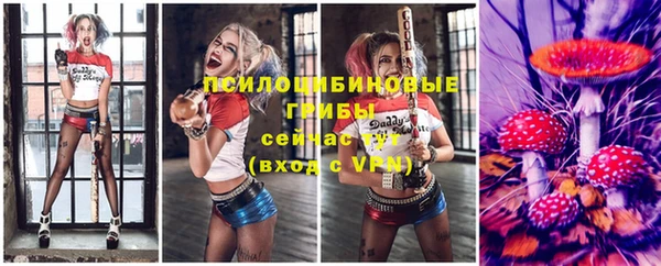 метадон Вяземский