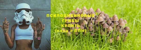 метадон Вяземский