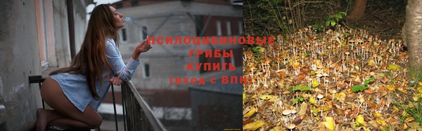 метадон Вяземский