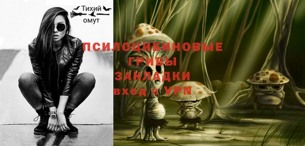 PSILOCYBIN Вязьма