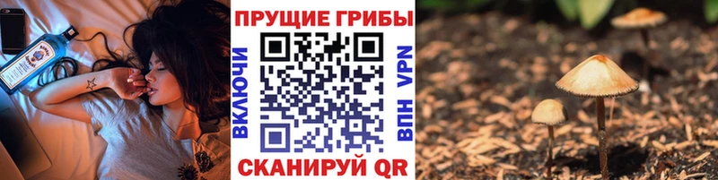 Псилоцибиновые грибы Cubensis  mega вход  Арзамас  купить закладку 