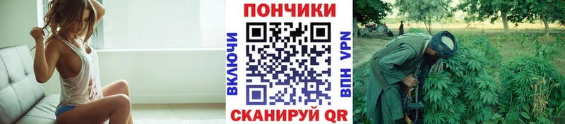 Канабис Amnesia  где найти наркотики  нарко площадка какой сайт  Арзамас 